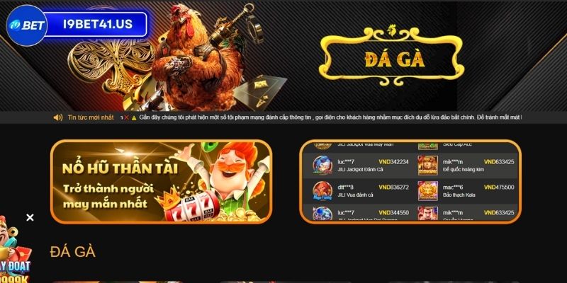 Trang Web Đá Gà Trực Tiếp I9BET, Địa Chỉ Không Thể Bỏ Qua 2 Khám phá về trang web đá gà trực tiếp I9BET