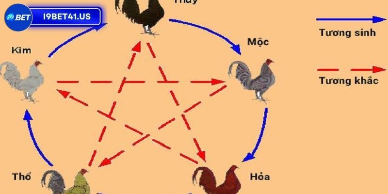 Xác Định Màu Mạng Gà Đá Ngày Hôm Nay Giúp Chiến Thắng 2 Tìm hiểu về khái niệm xem màu mạng gà đá ngày hôm nay